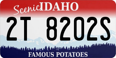 ID license plate 2T8202S