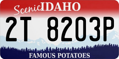 ID license plate 2T8203P