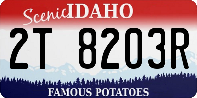 ID license plate 2T8203R