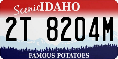 ID license plate 2T8204M