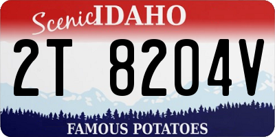 ID license plate 2T8204V