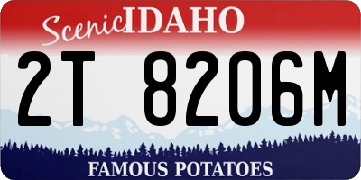 ID license plate 2T8206M