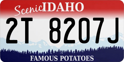 ID license plate 2T8207J