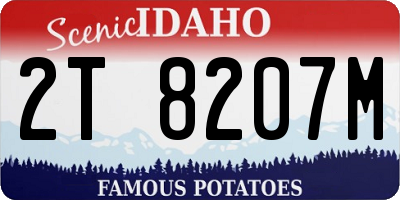 ID license plate 2T8207M