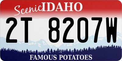 ID license plate 2T8207W