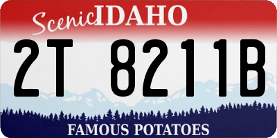 ID license plate 2T8211B