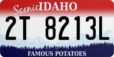 ID license plate 2T8213L