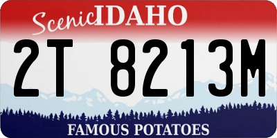 ID license plate 2T8213M