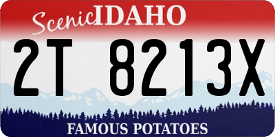 ID license plate 2T8213X