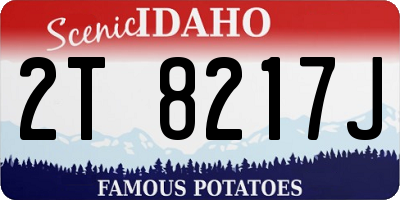ID license plate 2T8217J