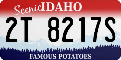 ID license plate 2T8217S