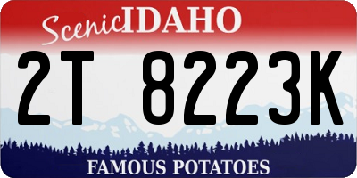 ID license plate 2T8223K