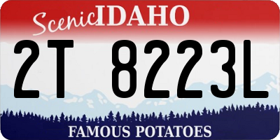 ID license plate 2T8223L