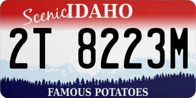 ID license plate 2T8223M