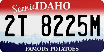 ID license plate 2T8225M