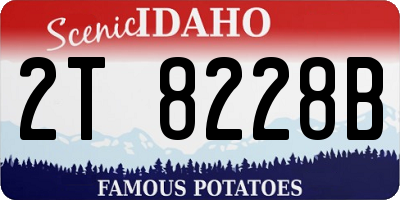 ID license plate 2T8228B