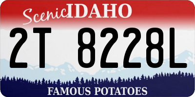 ID license plate 2T8228L