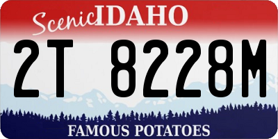 ID license plate 2T8228M