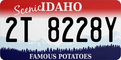 ID license plate 2T8228Y