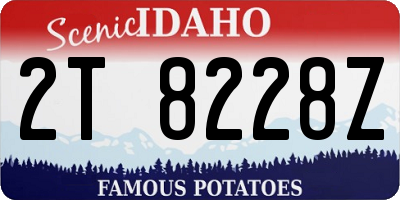 ID license plate 2T8228Z