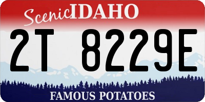 ID license plate 2T8229E