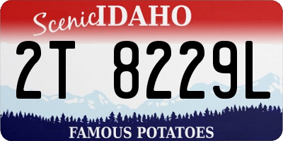 ID license plate 2T8229L