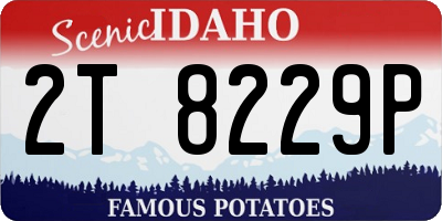 ID license plate 2T8229P