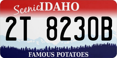 ID license plate 2T8230B