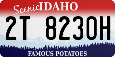ID license plate 2T8230H