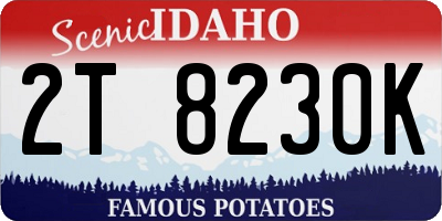 ID license plate 2T8230K