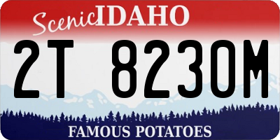 ID license plate 2T8230M