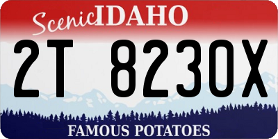ID license plate 2T8230X