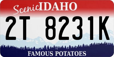 ID license plate 2T8231K