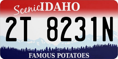 ID license plate 2T8231N