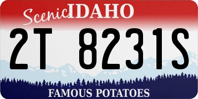 ID license plate 2T8231S