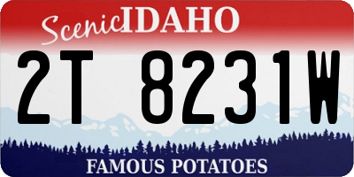 ID license plate 2T8231W