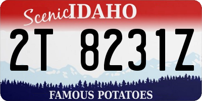 ID license plate 2T8231Z