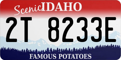 ID license plate 2T8233E