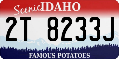 ID license plate 2T8233J