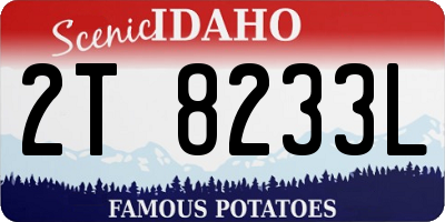 ID license plate 2T8233L