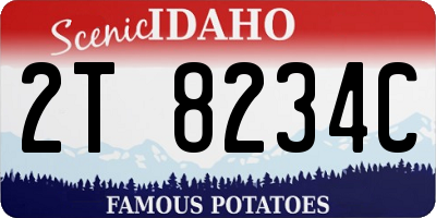 ID license plate 2T8234C