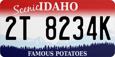 ID license plate 2T8234K