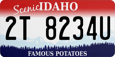 ID license plate 2T8234U
