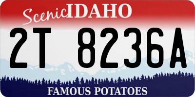 ID license plate 2T8236A