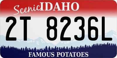 ID license plate 2T8236L