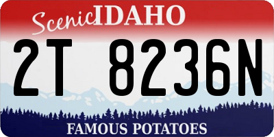 ID license plate 2T8236N