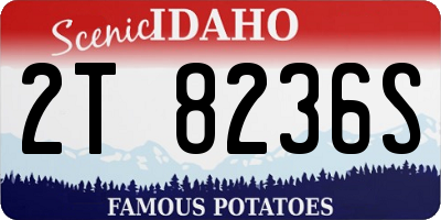 ID license plate 2T8236S
