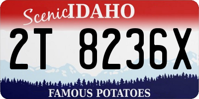 ID license plate 2T8236X