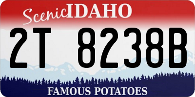 ID license plate 2T8238B