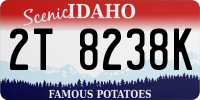 ID license plate 2T8238K